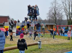 Kletterspinne